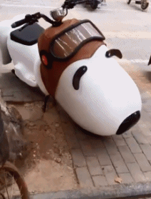 趣味|搞笑趣味图片