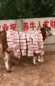 班主任|大叔用的什么牌子的洗发膏, 头发如此飘逸