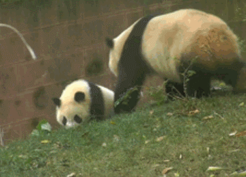 妹子|妹子,这防烟放油衣好用吗