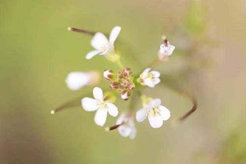 老婆|幽默笑话：一对老夫妇能恩爱几十年，还是不会做饭
