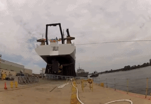 妹子|搞笑GIF：多么羡慕妹子的生活，可惜我只能在隔壁看着她