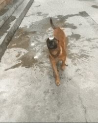 杯水|搞笑GIF: 别再向后退了,快来接住这杯水!