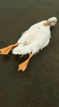 妹子|搞笑GIF趣图：妹子，你的闺蜜可能累了，还是让我来吧！