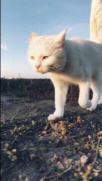 兄弟|搞笑GIF趣图:妹纸你这是练的什么神功?好腰力!