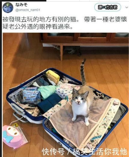 三百六十|搞笑GIF动图：哥们，我被你一身肌肉骗了。。。