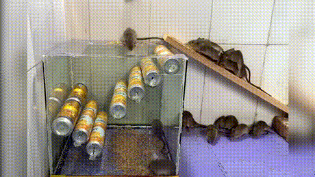 哪吒|搞笑趣图：合影可以接受，要动手就不能忍了。