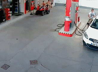 就是|我能想到最幸福的事,就是不拥有猪一样的损友!