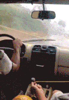 胆子|搞笑GIF：大哥，你的胆子也太大了！竟然挑战这个！