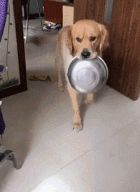 妹子|爆笑GIF趣图：妹子徒手劈砖头，难道她以前在少林寺练过铁砂掌？