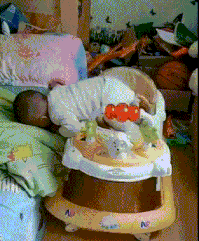 侄子|【笑话】：看你长时间单身，我也是单身，那咱们俩加起来是什么？