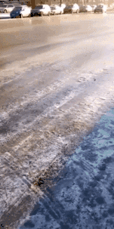 妹子|搞笑GIF:撩妹子也要看路