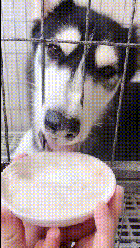 同事|搞笑GIF趣图:哥们,腿断了都阻挡不了你打副本,实在是佩服啊!