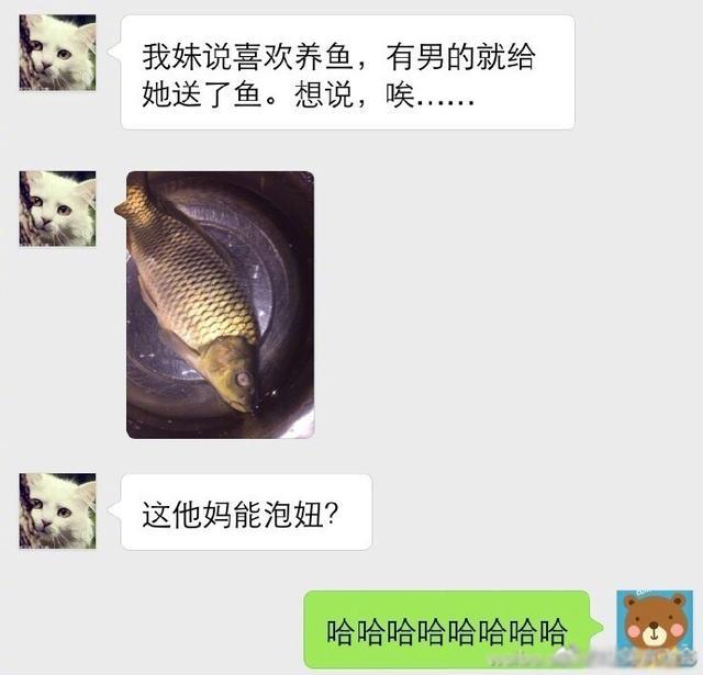 哈哈|搞笑！临近期末考试，新型作弊方式同学们要警惕，哈哈~