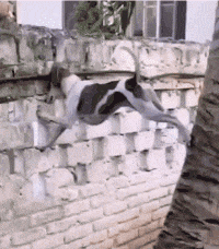 校服|搞笑GIF动图:骚年,你这样做会失去女朋友的