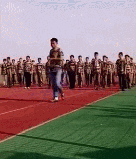 士奇|搞笑GIF趣图:哈士奇整天就知道玩,金毛已经开始干活了