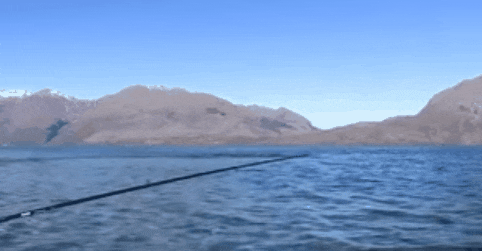 特殊|搞笑GIF:那么……有没有一种特殊的用法呢?