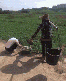 搞笑图片|搞笑图片：坏小子，你想炸个“漫天喷粪”吗？