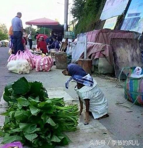 妹子|昨晚约了个妹子,今早起床怎感觉自己吃亏了