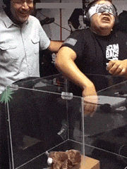 袋子|搞笑GIF:如果这个袋子里面装的不是泡沫,那我真的很佩服这位小姐姐