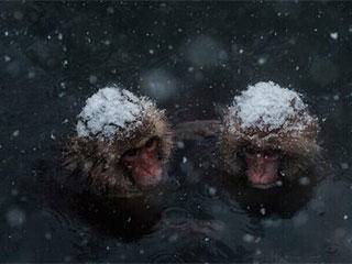 别致|爆笑GIF：大哥你这坐骑好别致啊！