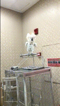 表嫂|搞笑GIF：抬头一看，发现我倒了一碗牙签！