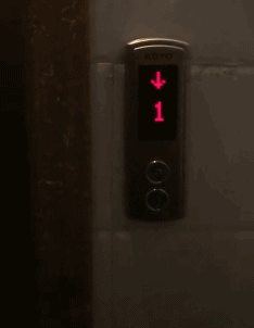 就是|搞笑段子:本以为轻功水上漂,结果功亏一篑,过年了来两个段子