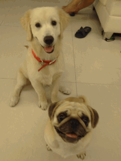 大哥|搞笑GIF：大哥，今天很高兴吧终于发工资了