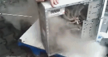 这是|搞笑GIF:印度的阿三敢这么玩我就想知道,你能有多大的耐力!