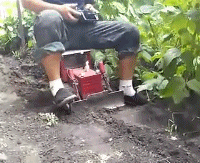 孩子|搞笑GIF动图：这女朋友要不得，想哄她你都追不上