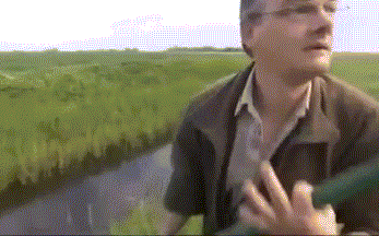 订婚|搞笑GIF：怎么少了一根？