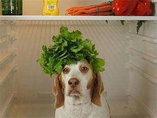 西瓜|这西瓜吃的，感觉跟在做梦似得