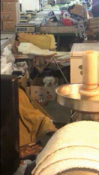 栗子|搞笑GIF趣图:媳妇让我回家吃大闸蟹,揭开锅我真替螃蟹难过!