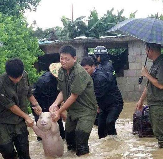 老公|哥们你还有这个爱好呀，我有点佩服你呀！