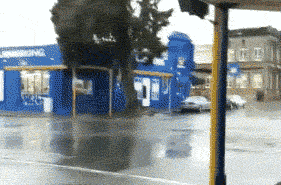 妹子|搞笑GIF：鱼：瞅你那怂样，我就吓唬你一下