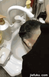 神秀|首发一波搞笑有趣的gif图「第一期」