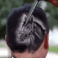 屈才|搞笑GIF趣图：这个技术牛大了，做理发师有点屈才了