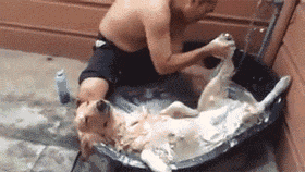 老婆|娶了这样的老婆真幸福啊