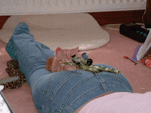 姑娘|GIF趣图:姑娘快别伪装了，男朋友已经发现你了！