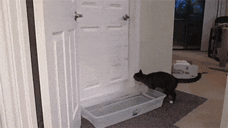 小王|搞笑GIF趣图：这是我刚娶回来的媳妇，不知道能退货不