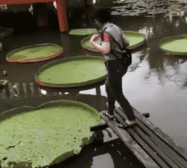 技能|搞笑GIF:我的手会这个技能,咱们两个比一下吧!