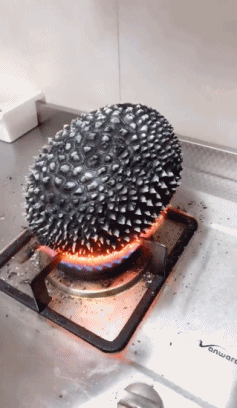 榴莲|搞笑GIF：邻居们敲门，他们是不是想抢我的火烤榴莲呀