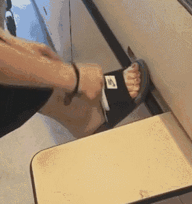 私房钱|搞笑GIF:火树