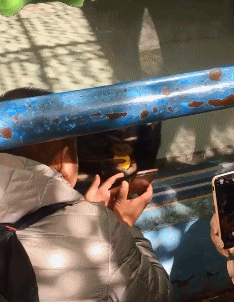 明哥|搞笑gif趣图：小伙子，这段路将是你的人生巅峰……