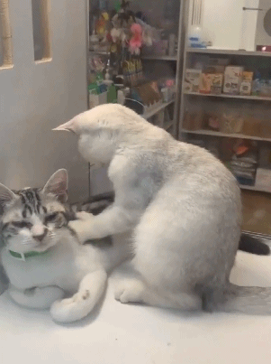 四川|爆笑GIF图:女儿说让我出去跟她练练,她是不是发现了什么?