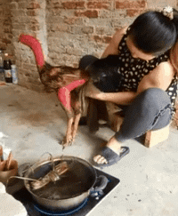 健身房|搞笑GIF图:别问我去健身房干什么,自己意会吧