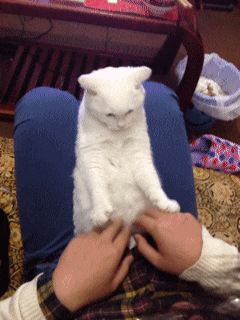 宝宝|搞笑GIF:媳妇,你擦电视都擦了半个多小时了