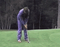 这是|搞笑GIF: 这饭做的大妈都看不下去了