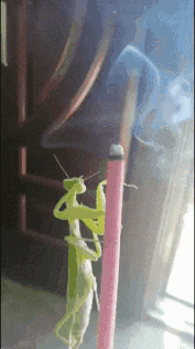 一刻|搞笑GIF:这告诉我们,不坚持到最后一刻你永远不知道会发生什么