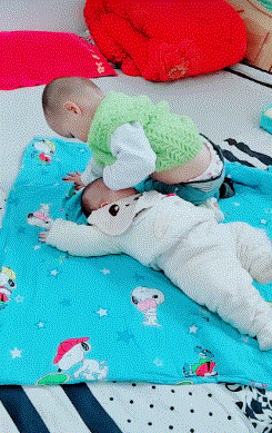 庞然大物|搞笑gif: 这么个庞然大物,最终还是折在了高跟鞋上了