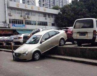 硬生生|可怜的车，硬生生被挤下去了